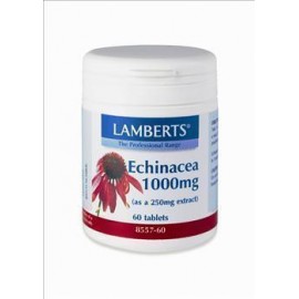 lamberts-echinacea-1000mg-60tab