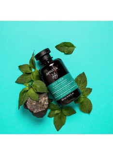 APIVITA Oily Hair Shampoo