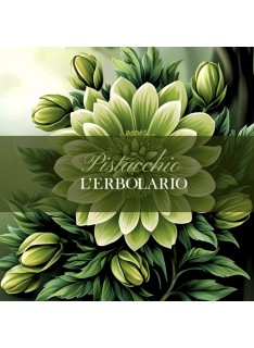 L' ERBOLARIO Pistacchio Eau de Parfum Πλούσιο Άρωμα, 50ml