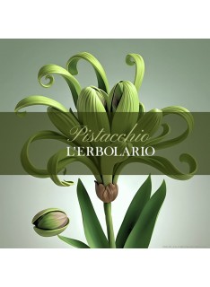 L' ERBOLARIO Pistacchio Delicious Lip Balm Ενυδατικό Χειλιών, 10ml