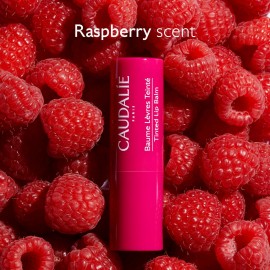 caudalie-tinted-lip-balm-45g