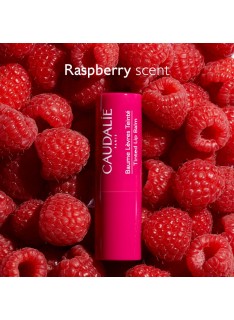CAUDALIE Vinotherapist Tinted Lip Balm Xειλιών με Χρώμα, 4.5g