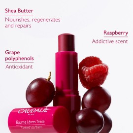 CAUDALIE Vinotherapist Tinted Lip Balm Xειλιών με Χρώμα, 4.5g