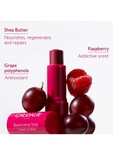 CAUDALIE Vinotherapist Tinted Lip Balm Xειλιών με Χρώμα, 4.5g