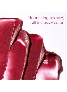 CAUDALIE Vinotherapist Tinted Lip Balm Xειλιών με Χρώμα, 4.5g