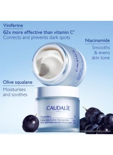 CAUDALIE Vinoperfect Dark Spot Niacinamide Moisturizer Day Cream, 50ml