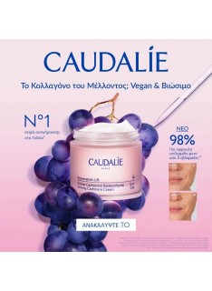 CAUDALIE Promo Resveratrol Lift - Firming Cashmere Day Cream 50ml & Δώρο Instant Firming Serum 10ml